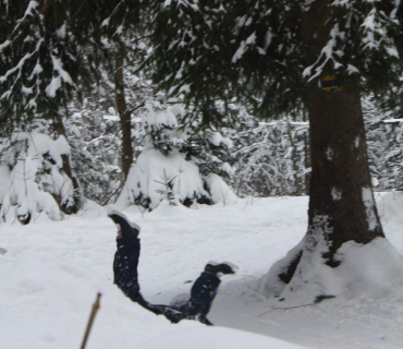 korenov zvonice leden 2013